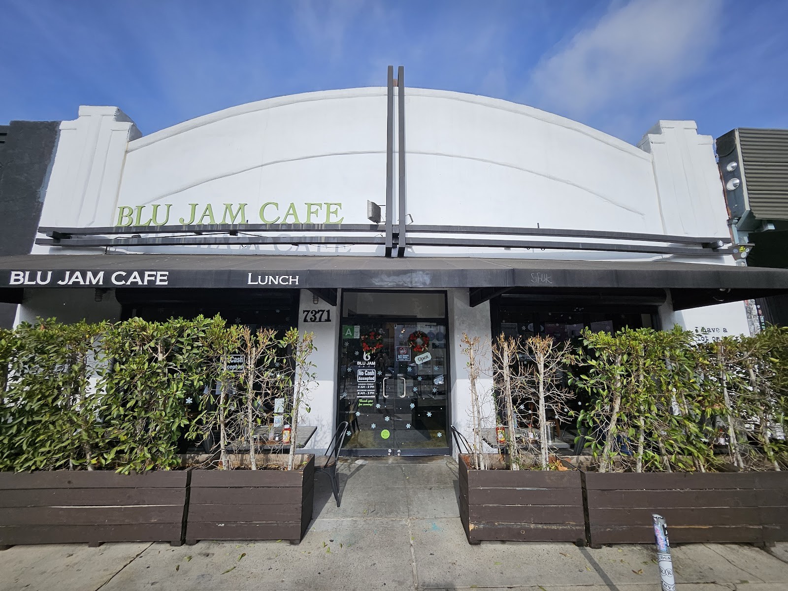 Blu Jam Cafe: the place