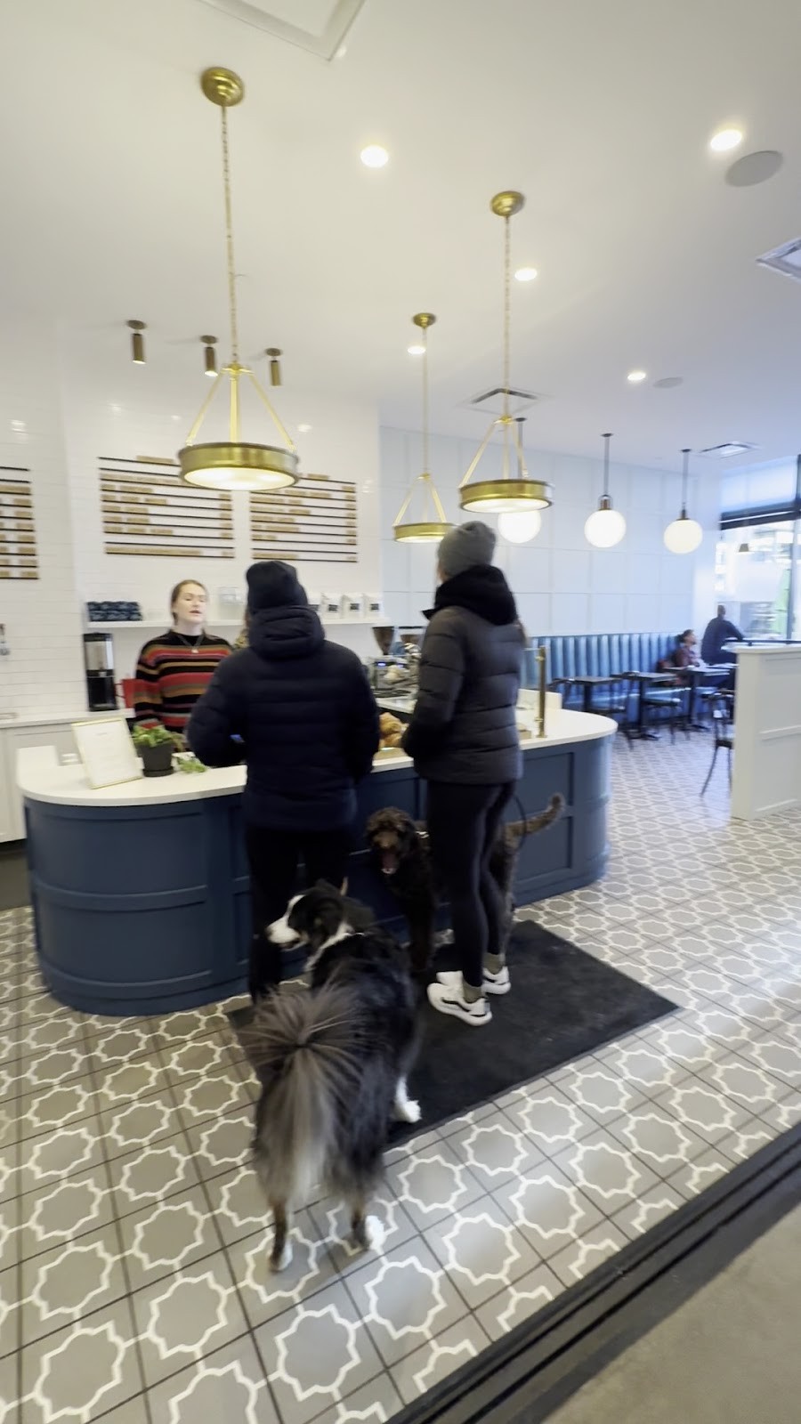 Blue Sparrow Coffee: the place