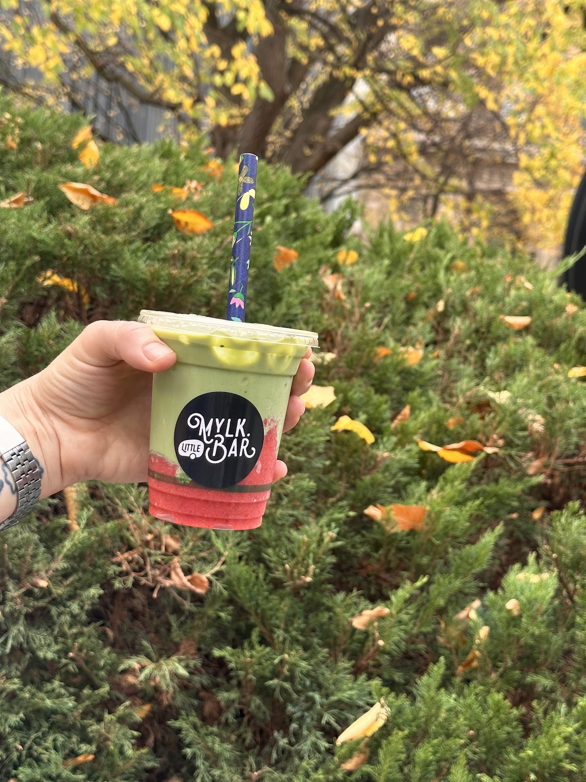 Little MylkBar: food & drinks