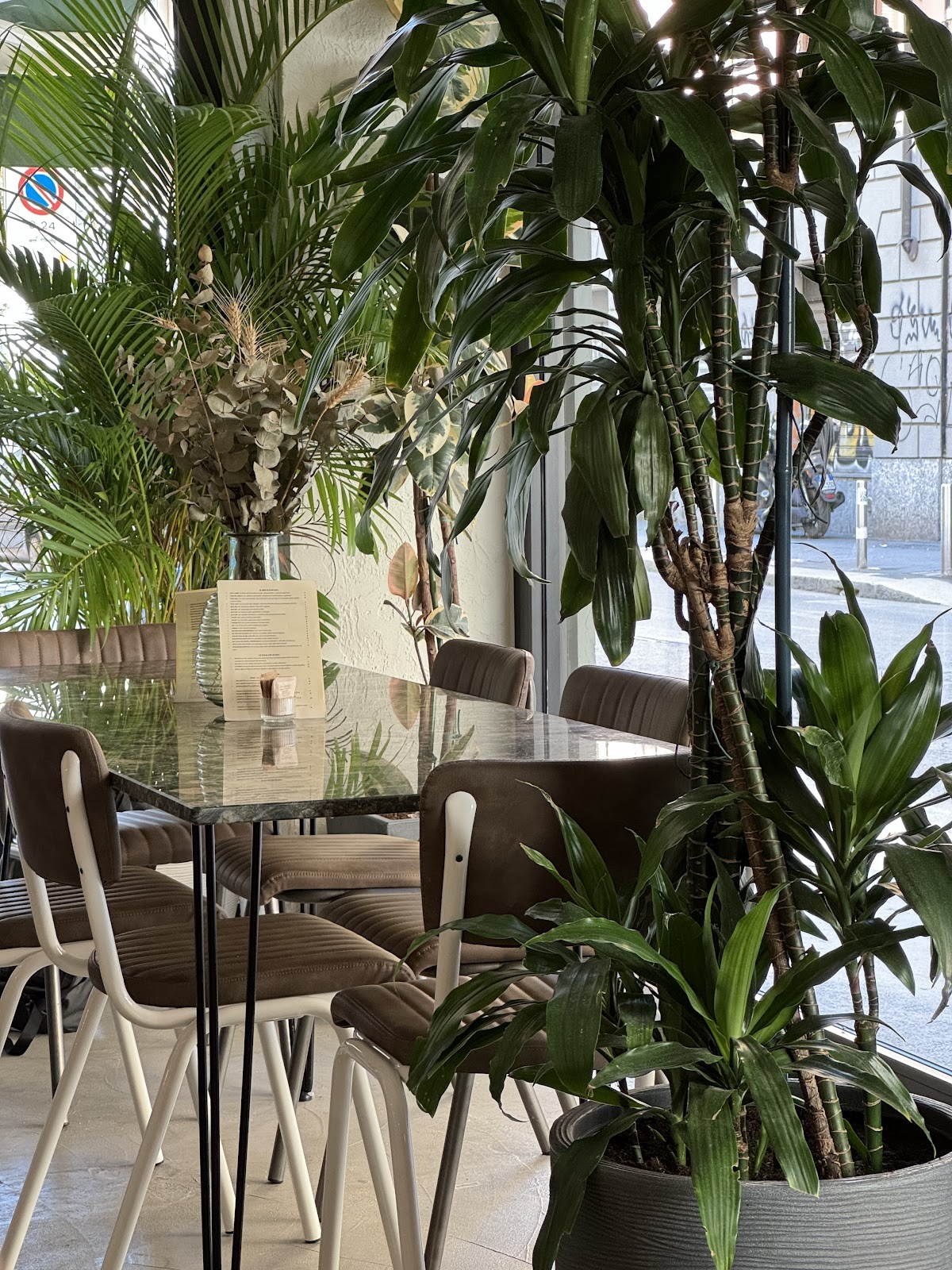 SISU.: the place