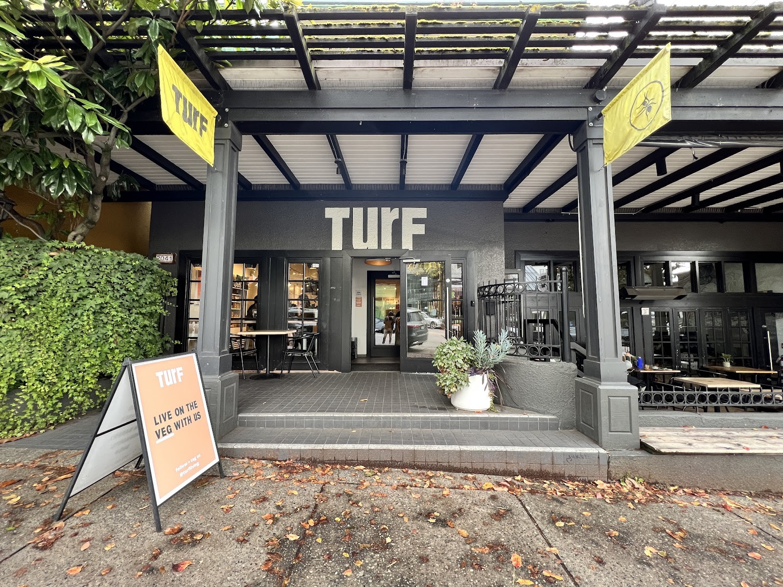TurF Kitsilano (KITS): the place