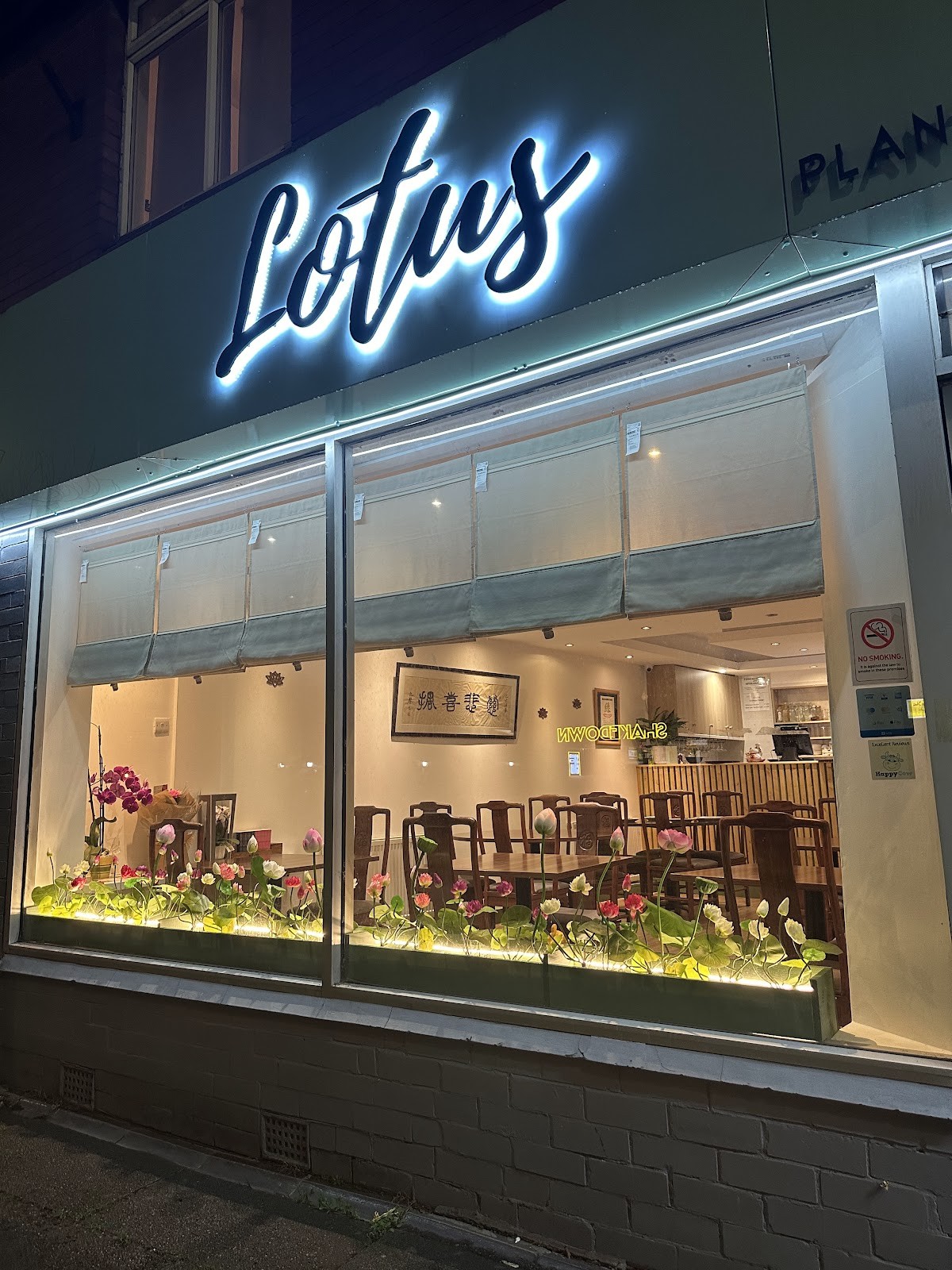 Lotus Plant Based Kitchen: the place