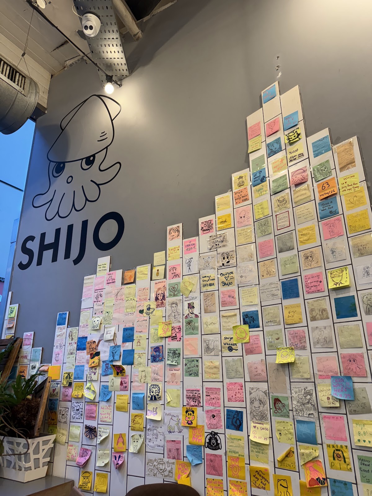Shijo Japanese restaurant: the place