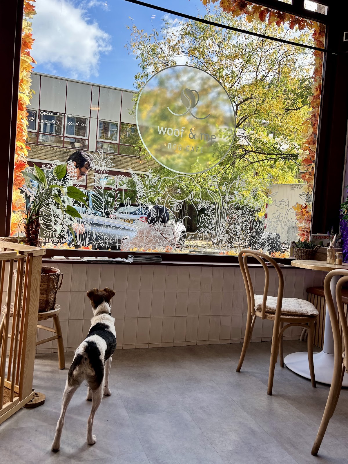 Woof & Me: the place