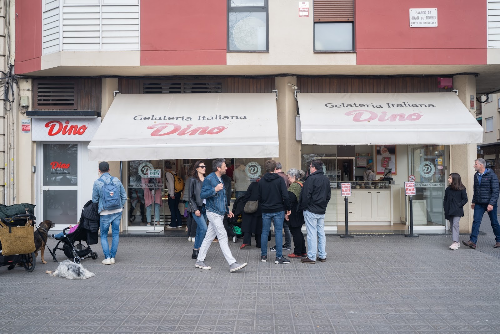 Gelati Dino: the place