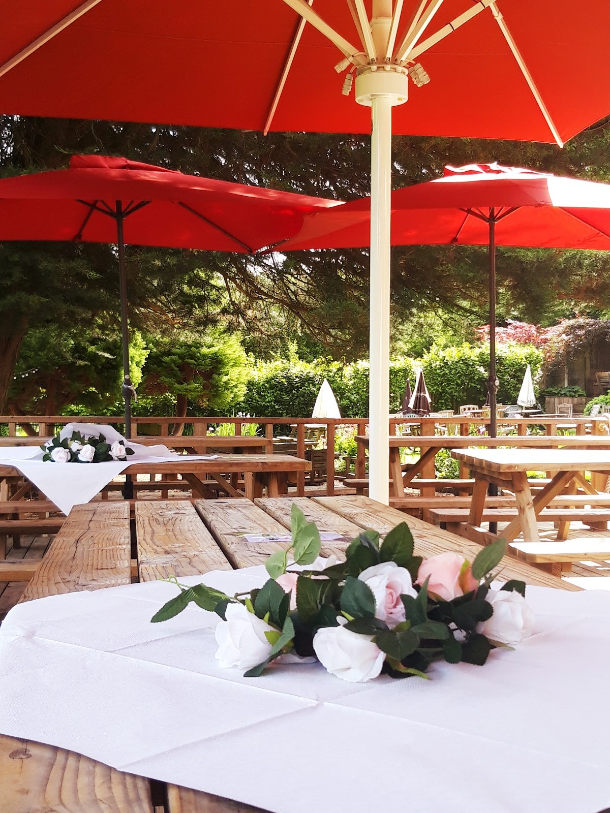 BEESES: the place