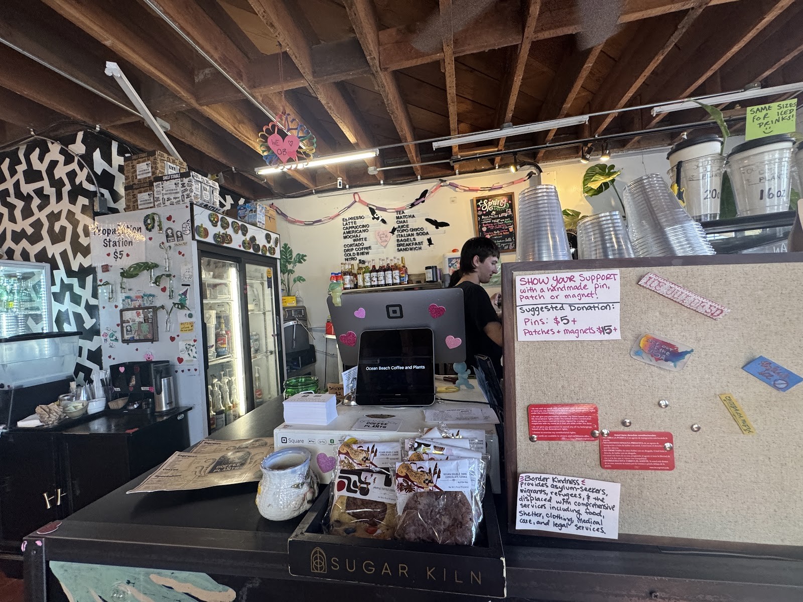 Ocean Beach Coffee and Plants: the place