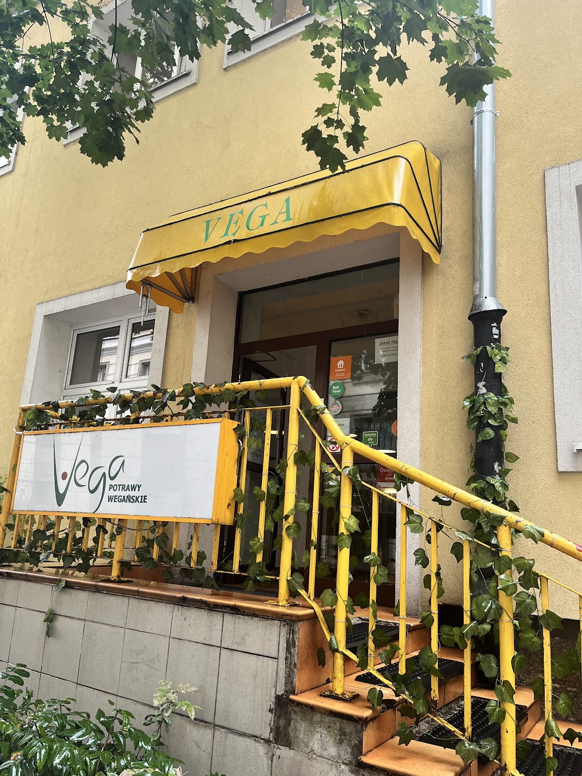 Vega: the place