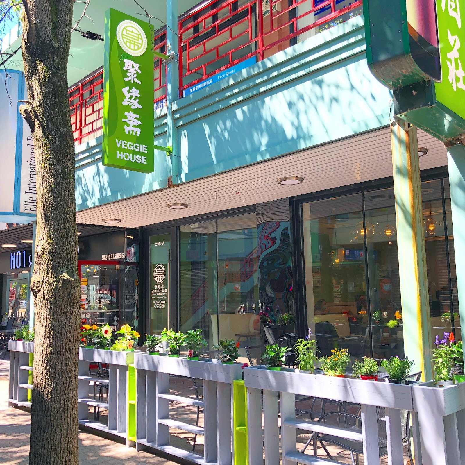 Veggie House: the place