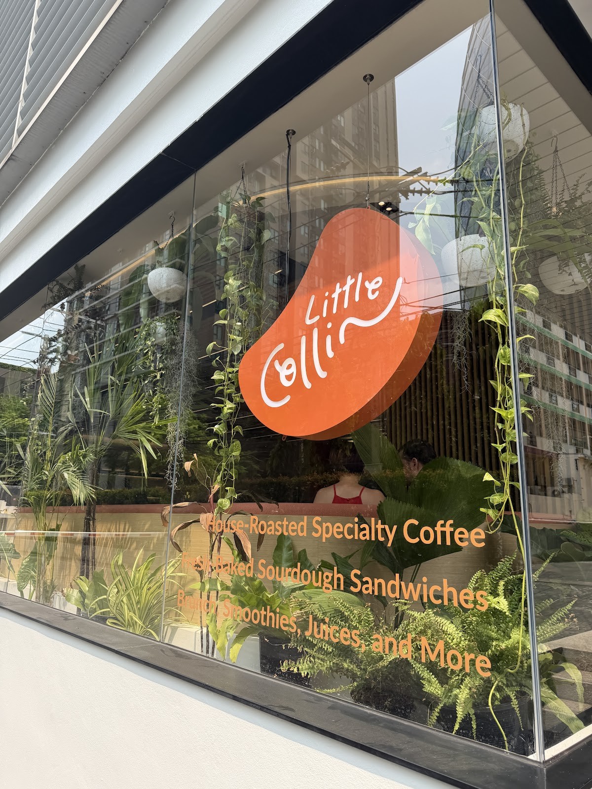 Little Collin Ari: the place