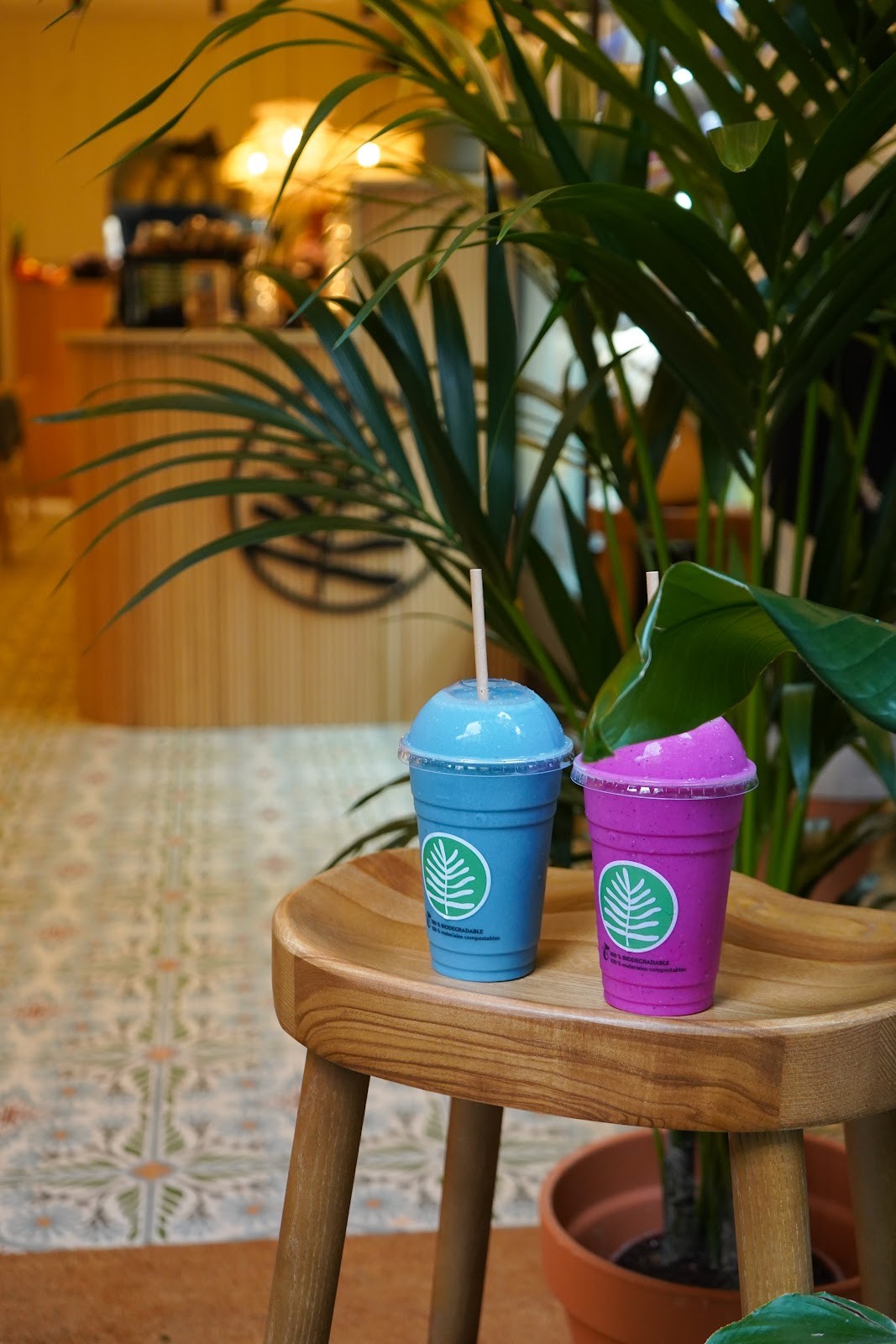 PLANT SHACK Barcelona: food & drinks