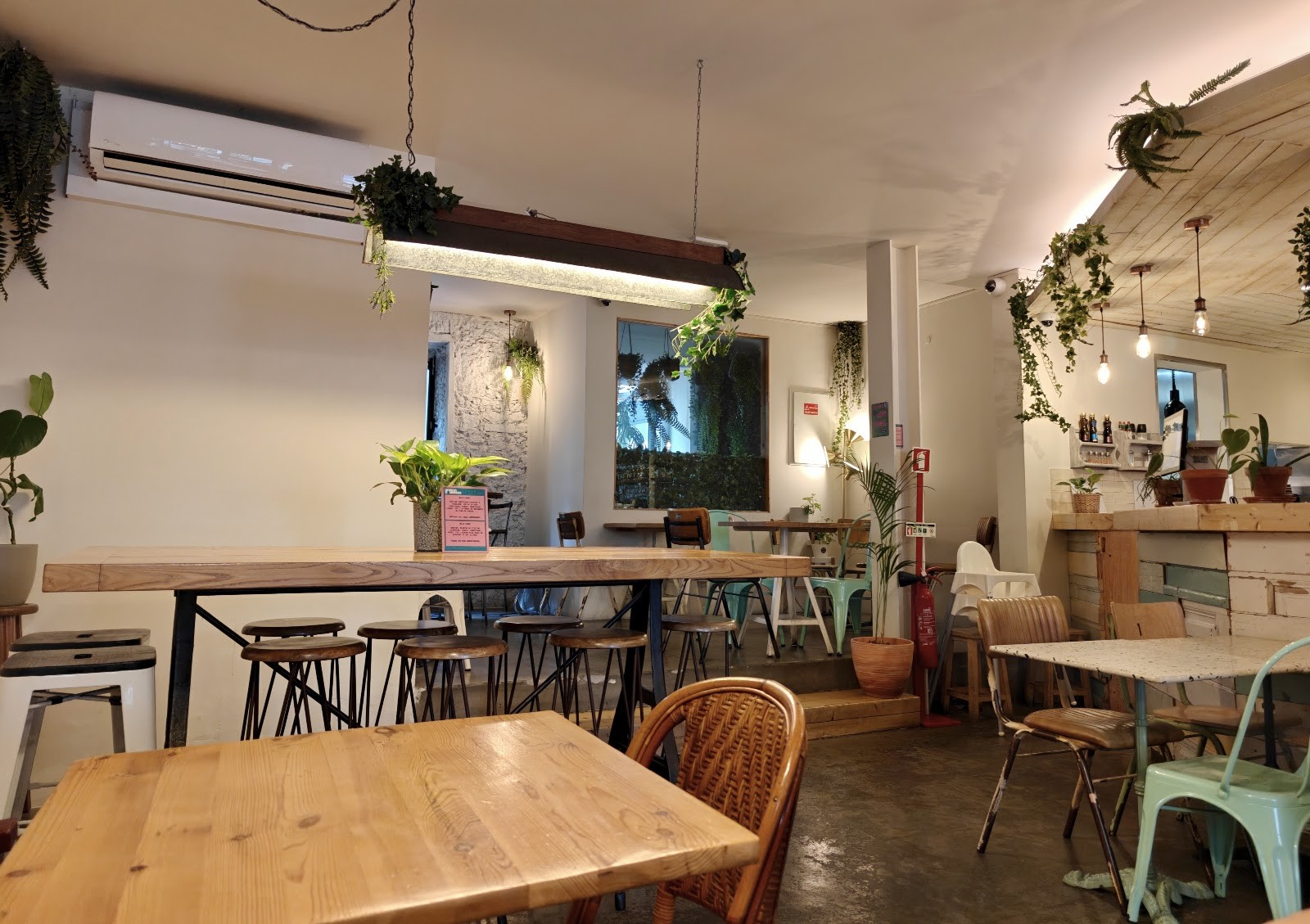 Fauna & Flora - Santos: the place