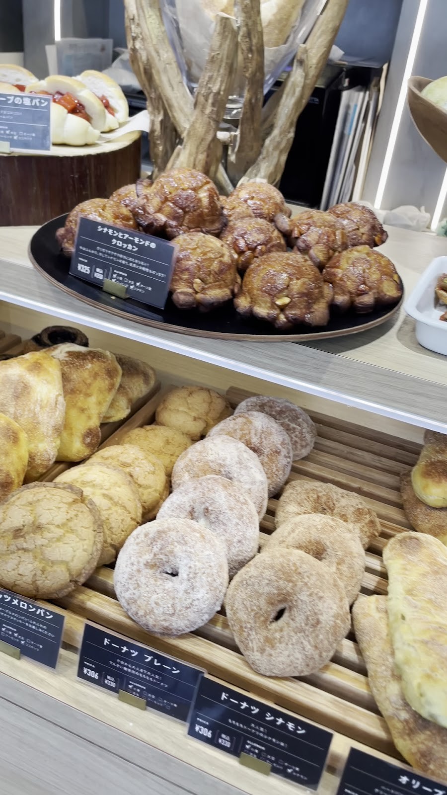 te cor gentil - vegan bakes: food & drinks