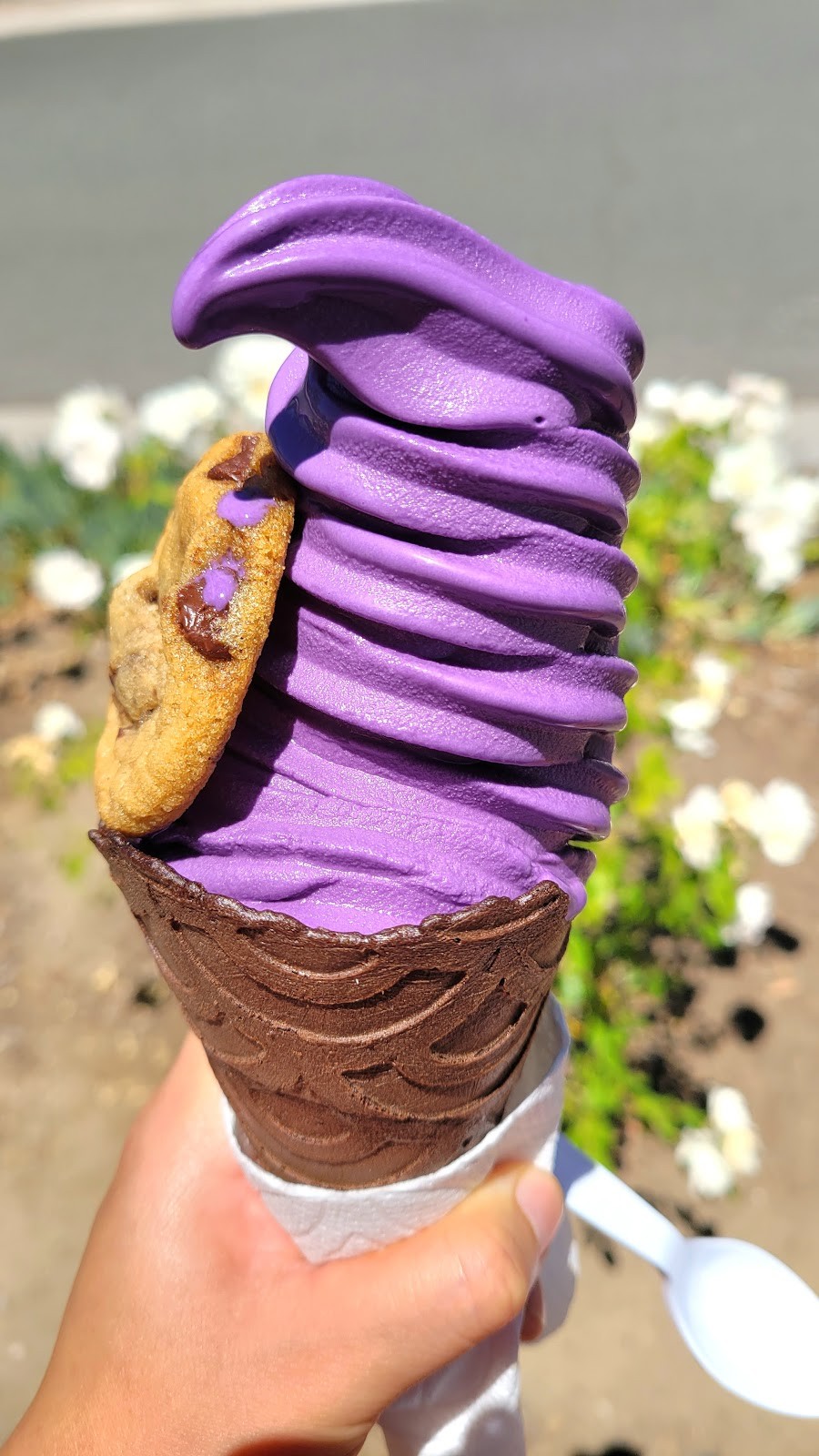 Maya's Cookies: food & drinks
