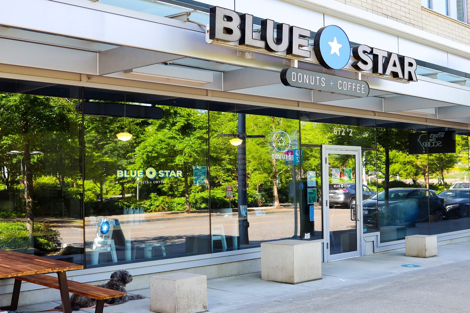 Blue Star Donuts: the place