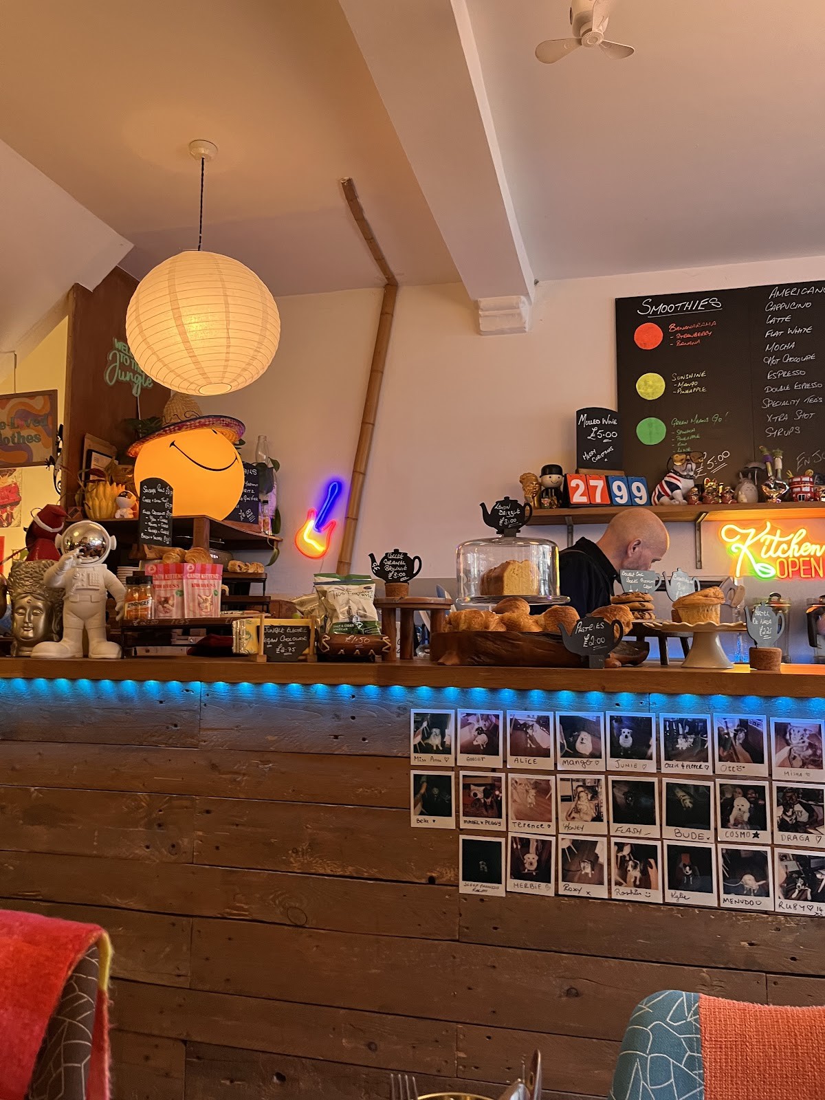 Jungle Electric: the place