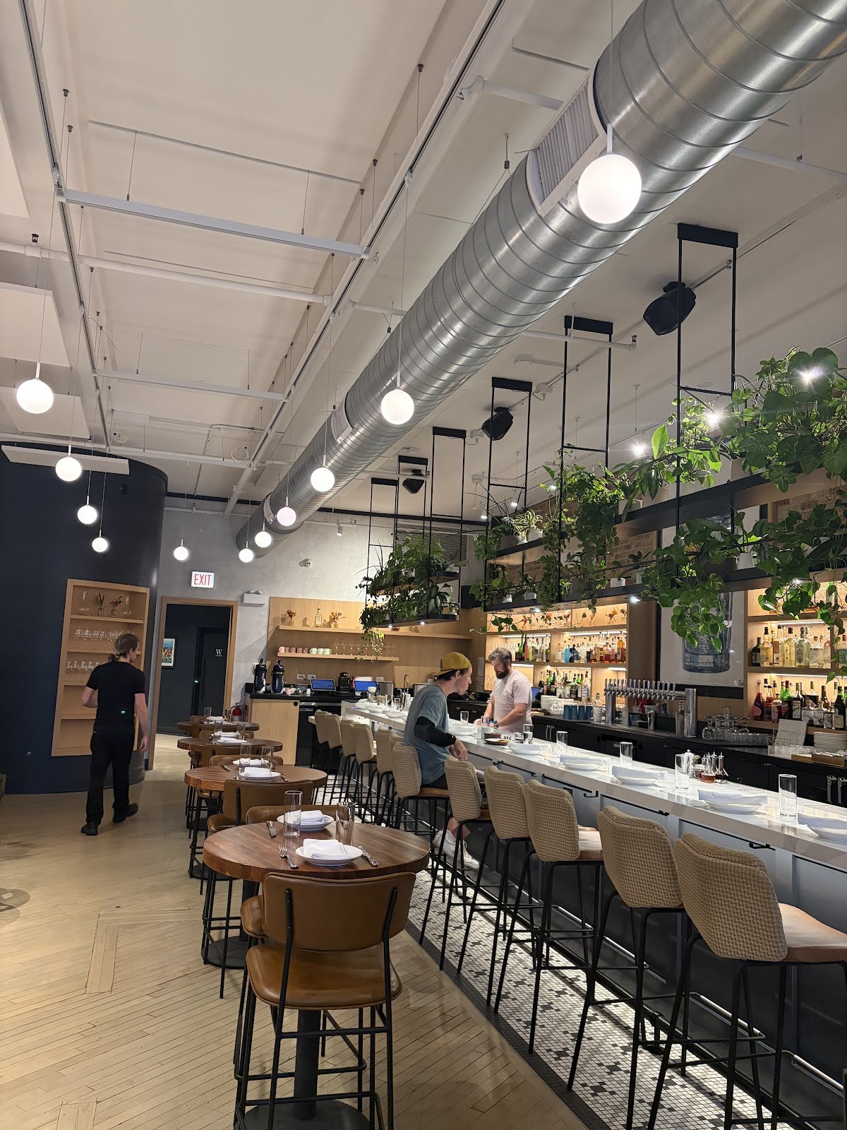 Daisies: the place