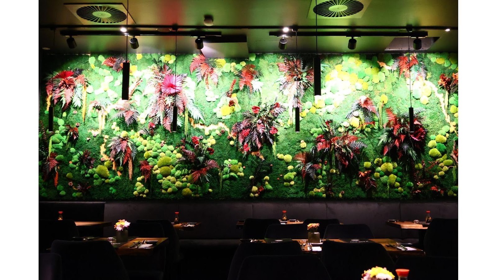 Restaurant Damichi: the place