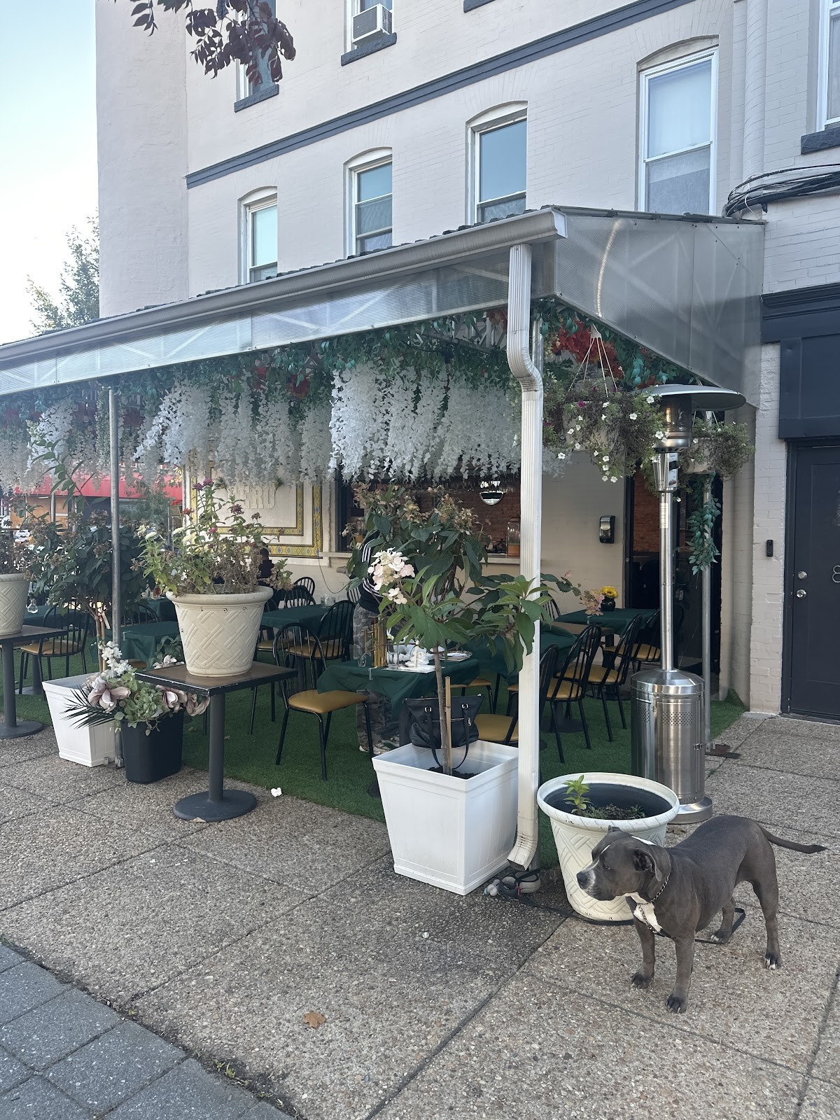 Feru Ethiopian Cuisine: the place