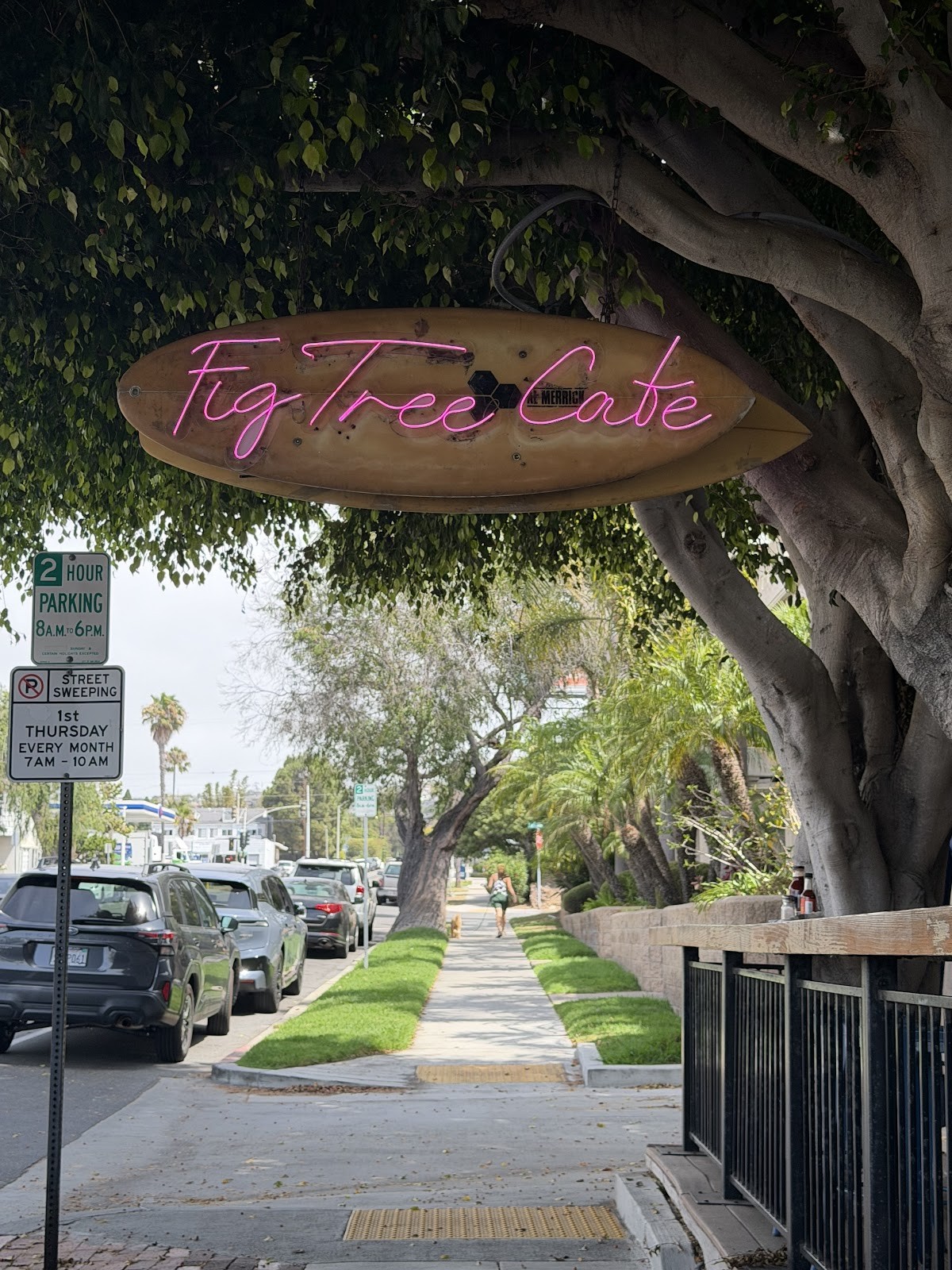 Fig Tree Cafe: the place
