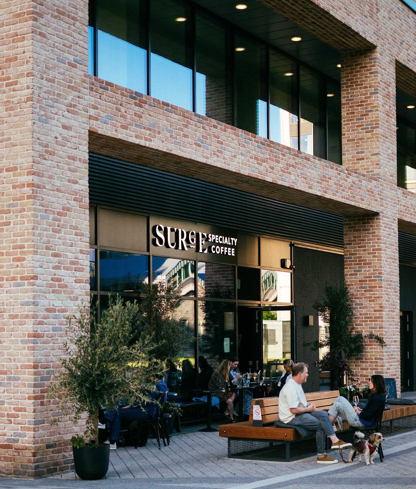 Surge Coffee: the place