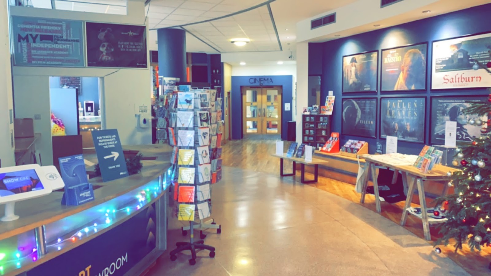 Showroom Cinema: the place