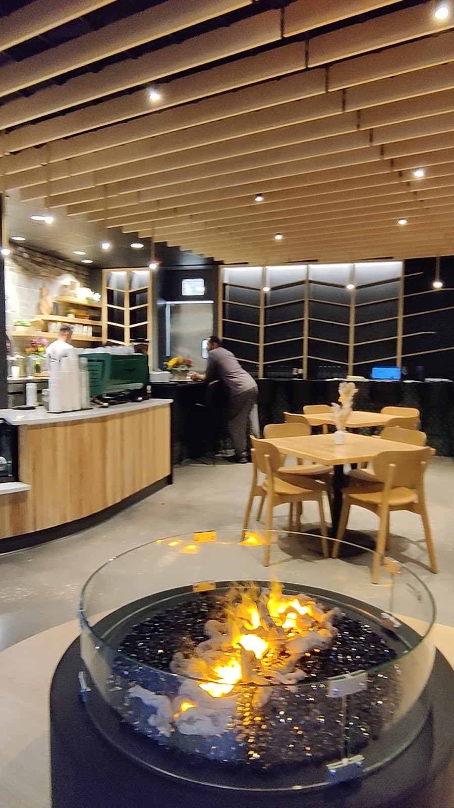 Silver Fern: the place