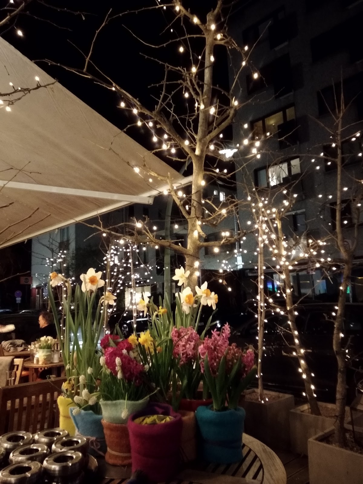 Ginkgo: the place