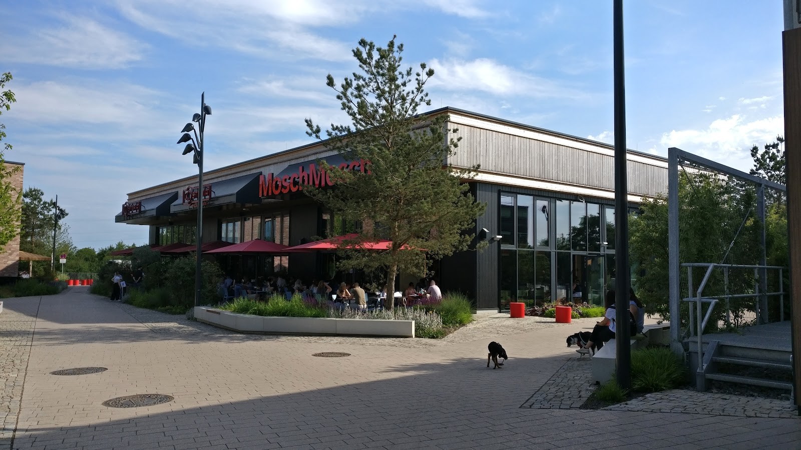 MoschMosch MTZ: the place