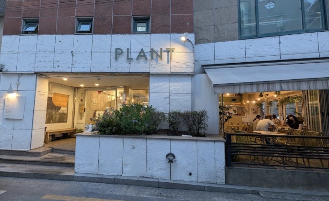 Plant Cafe Seoul (Yeonnam): the place