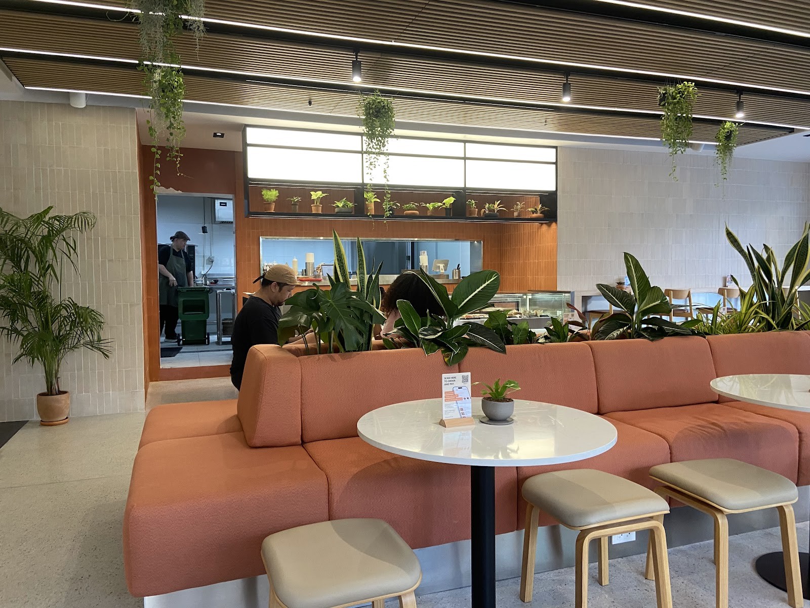 Little Collin Ari: the place