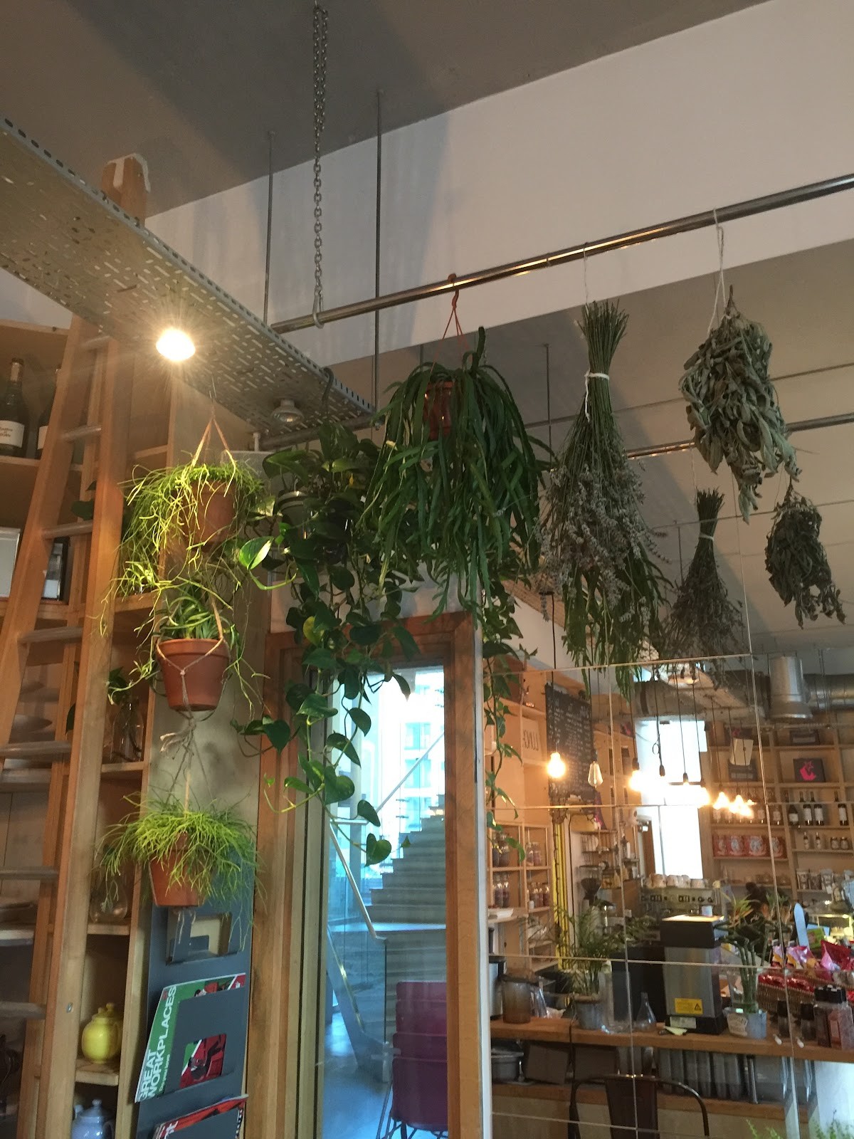 North Star Piccadilly: the place