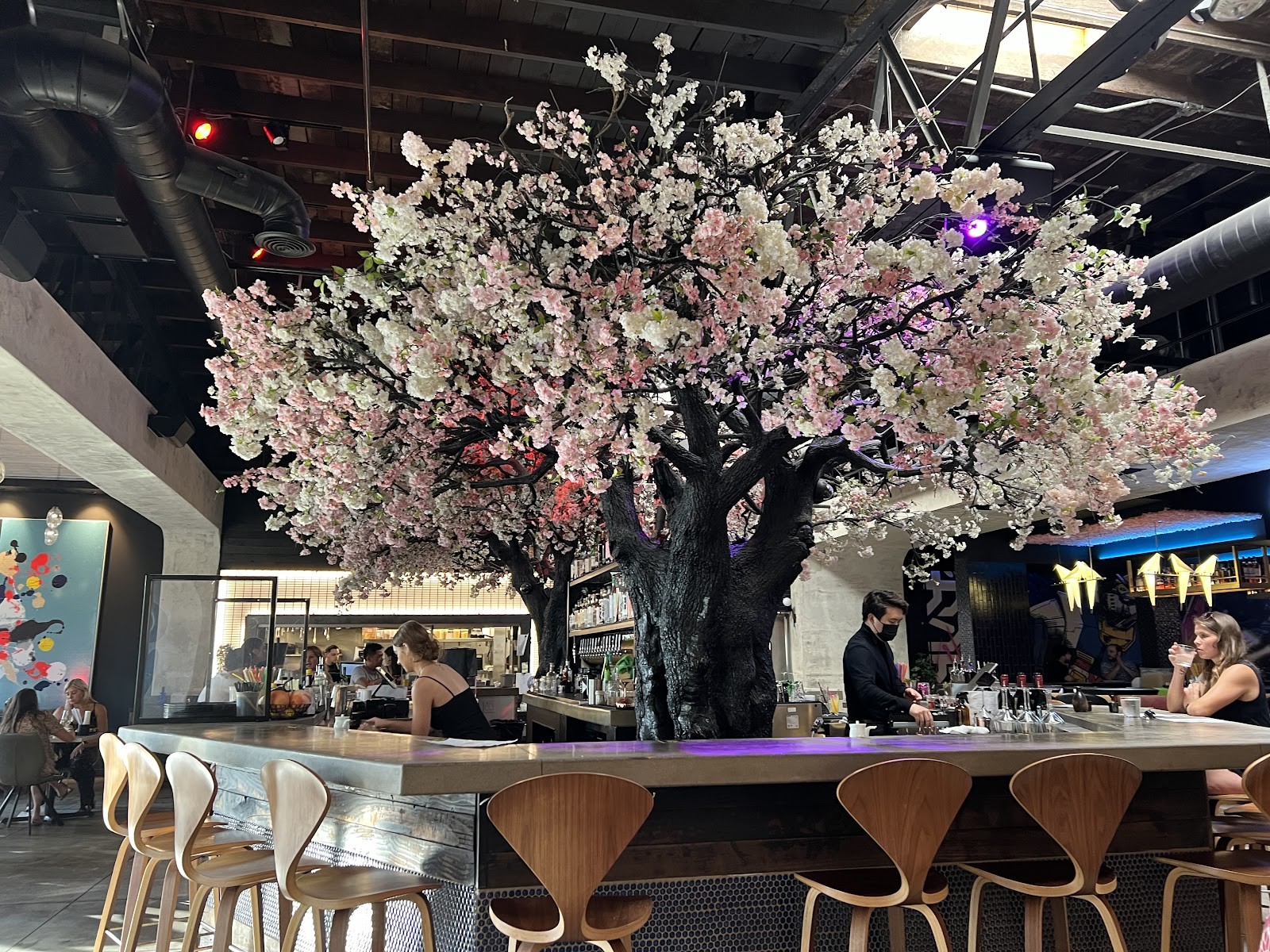 Cloak and Petal Little Italy: the place