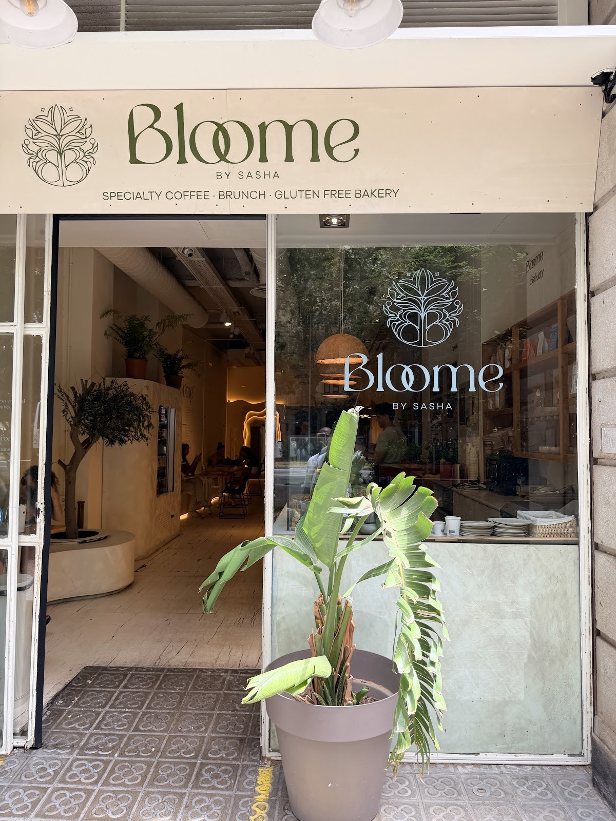 Bloome by Sasha | Passeig Sant Joan: the place