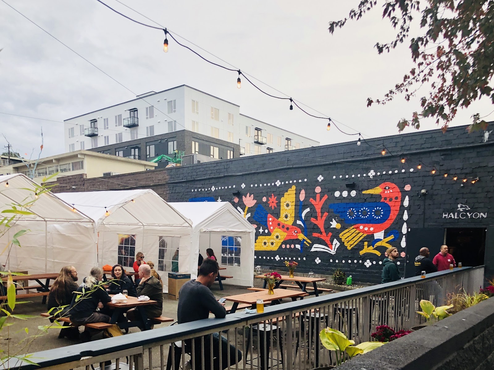 Halcyon Brewing Company: the place