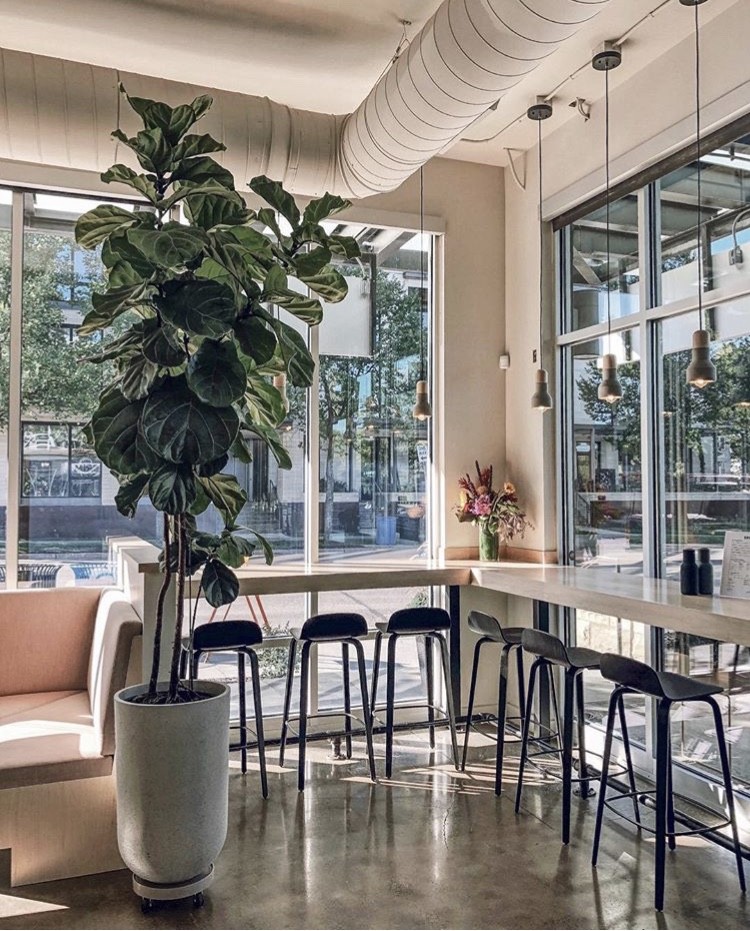 Brim Cafe & Coffee - Minneapolis: the place