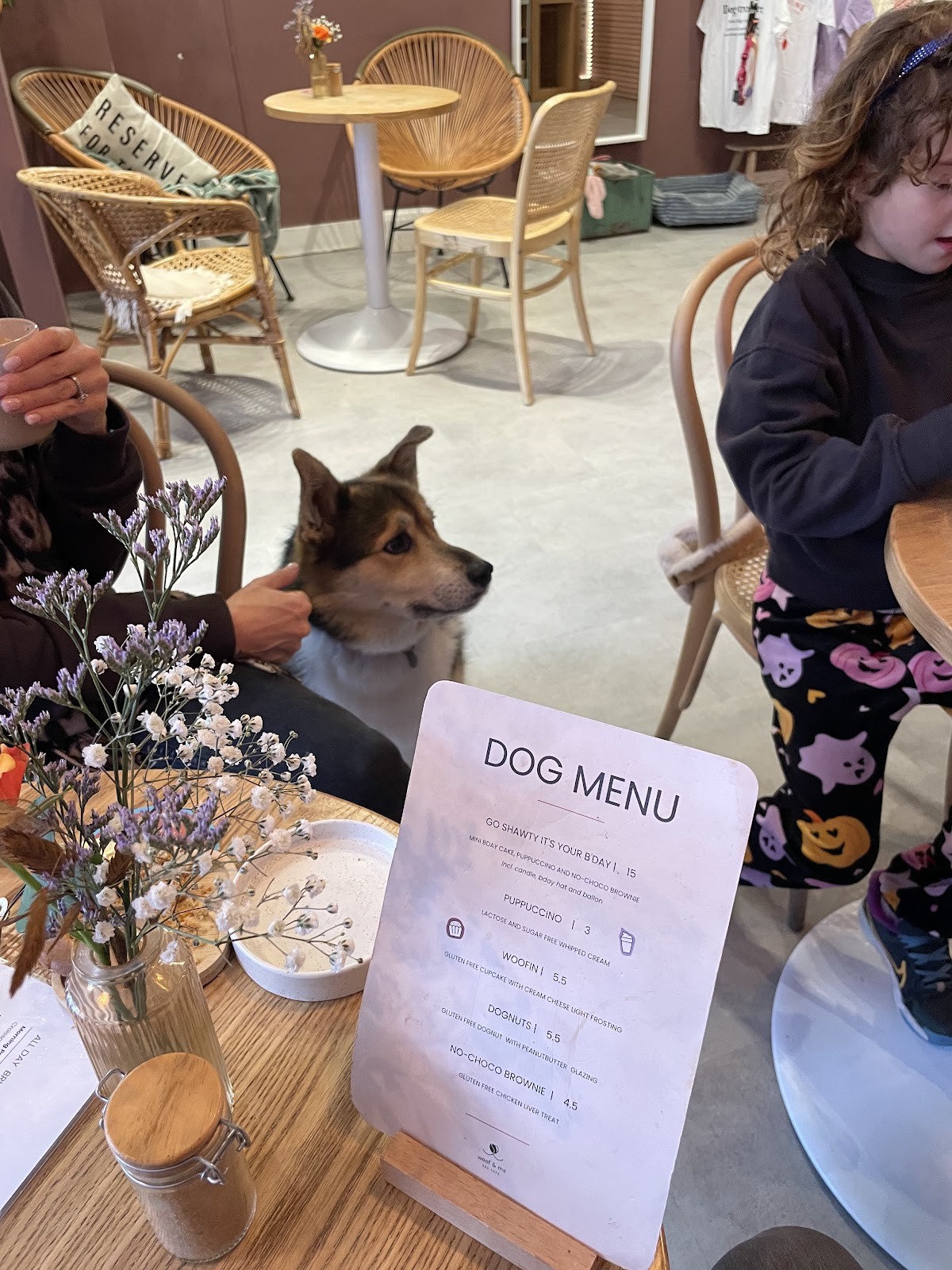 Woof & Me: the place