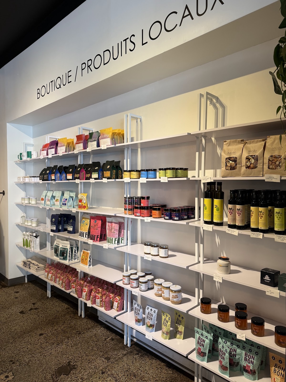Mollo Boulangerie - Café: the place