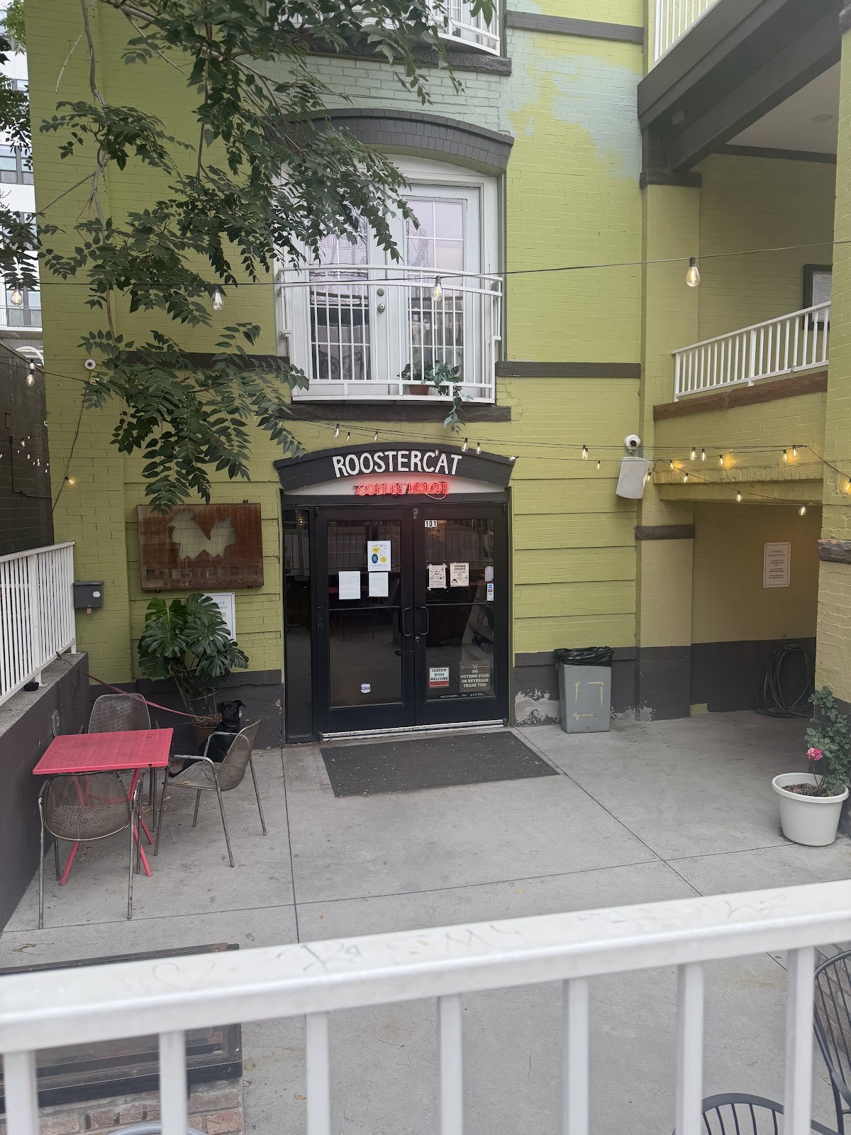 Roostercat Coffee House: the place