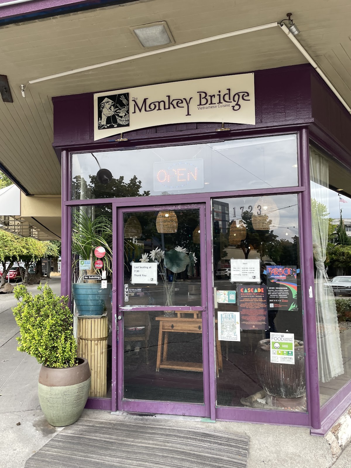 The Monkey Bridge: the place