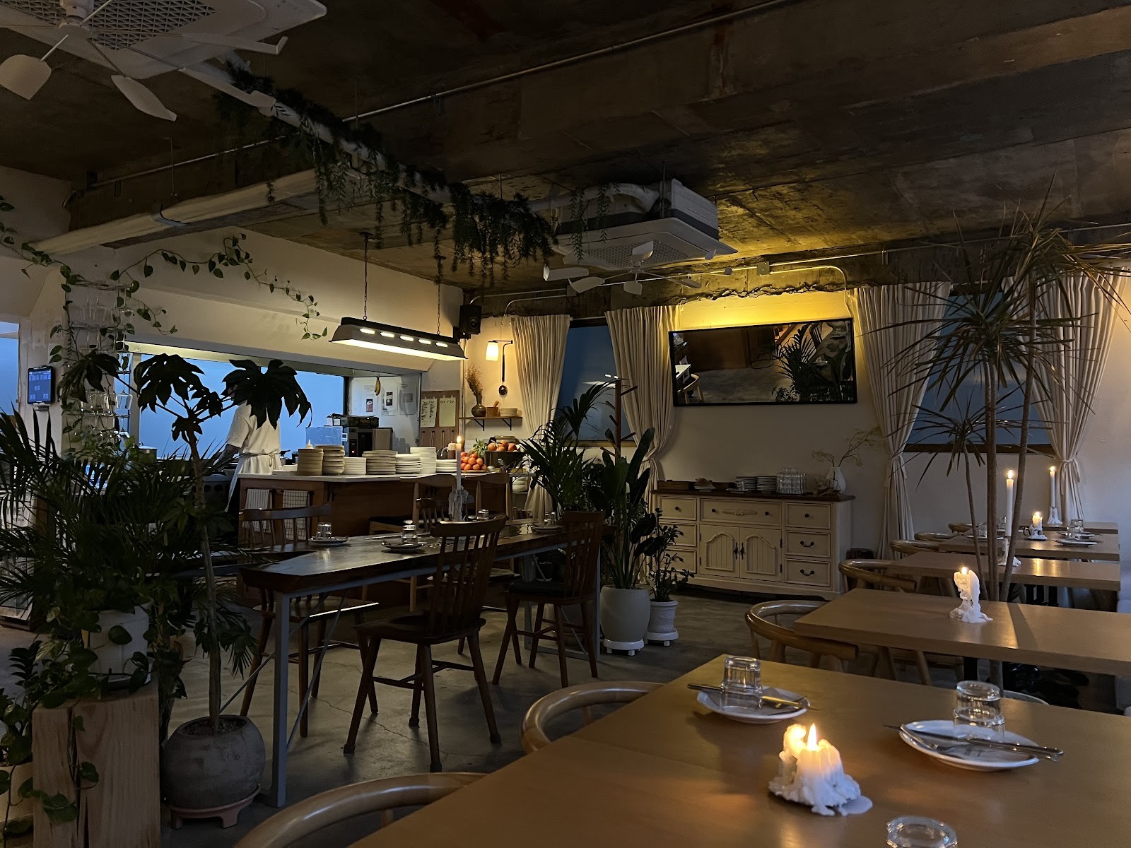 Clovelly - 클로벨리: the place