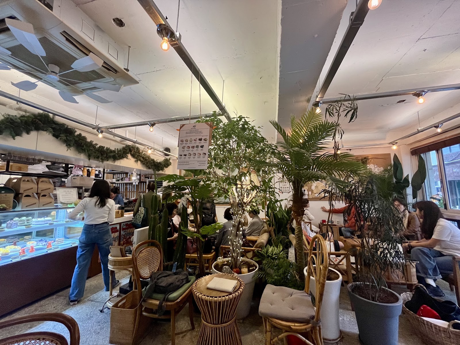 Cafe Turtle: the place