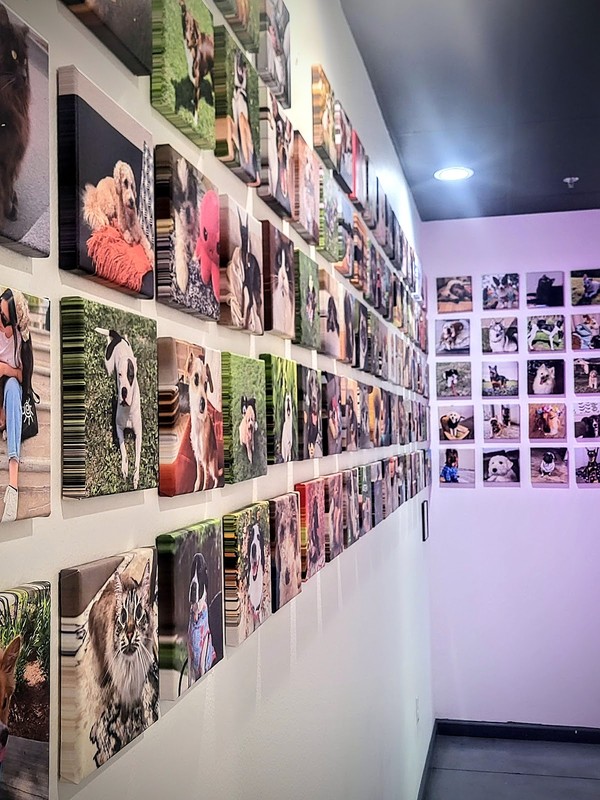 AUSTEA: photo 4