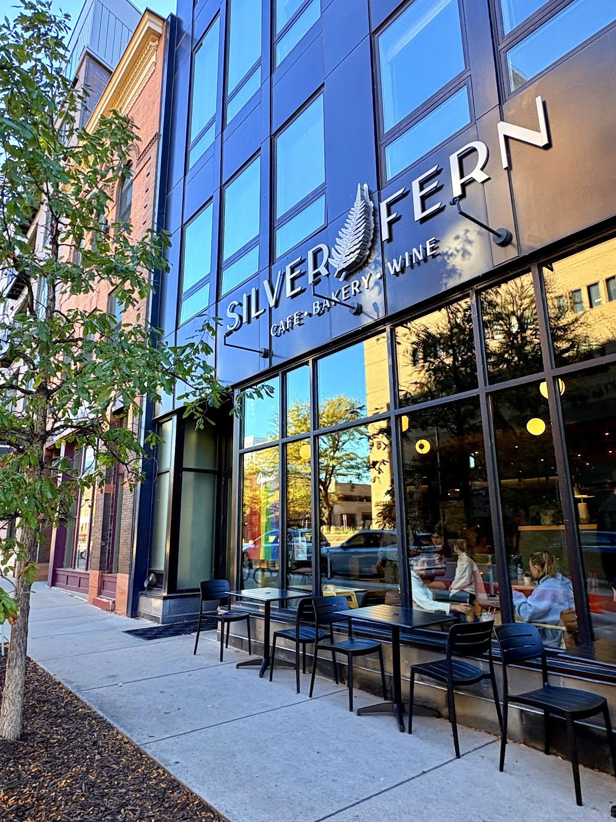 Silver Fern: the place