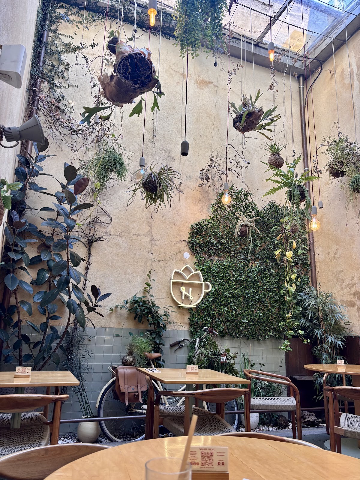 Noshi Coffee: the place