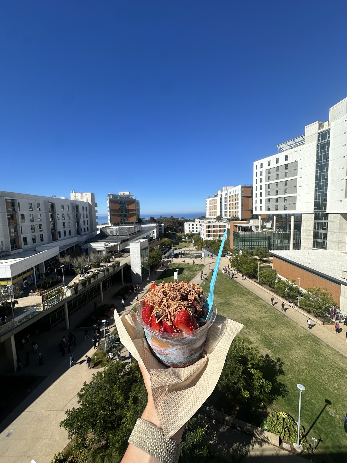 Blue Bowl - San Diego (UCSD): food & drinks