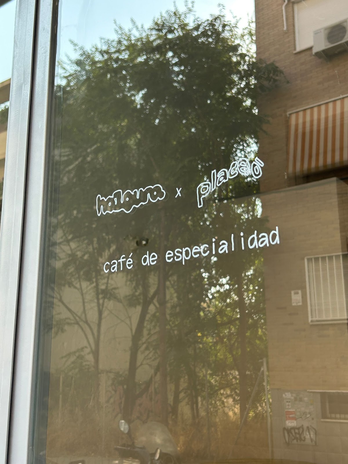 Holgura x Placeo - Café de Especialidad: the place