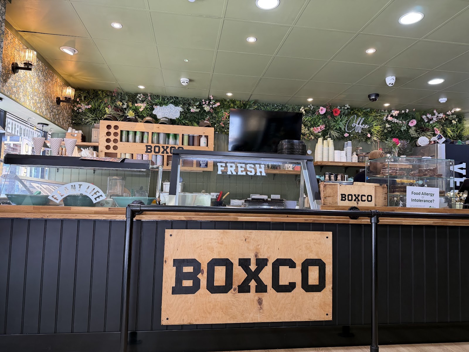 BOXCO ️: the place