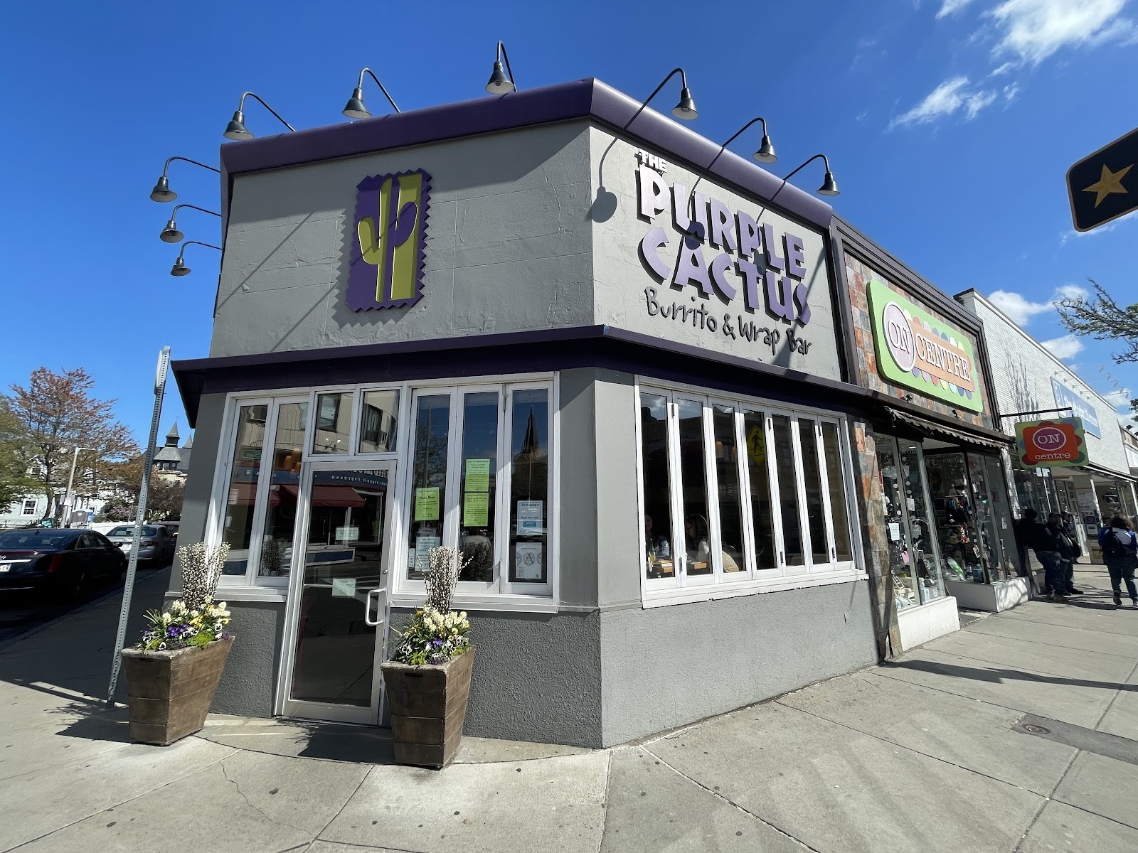 The Purple Cactus: the place