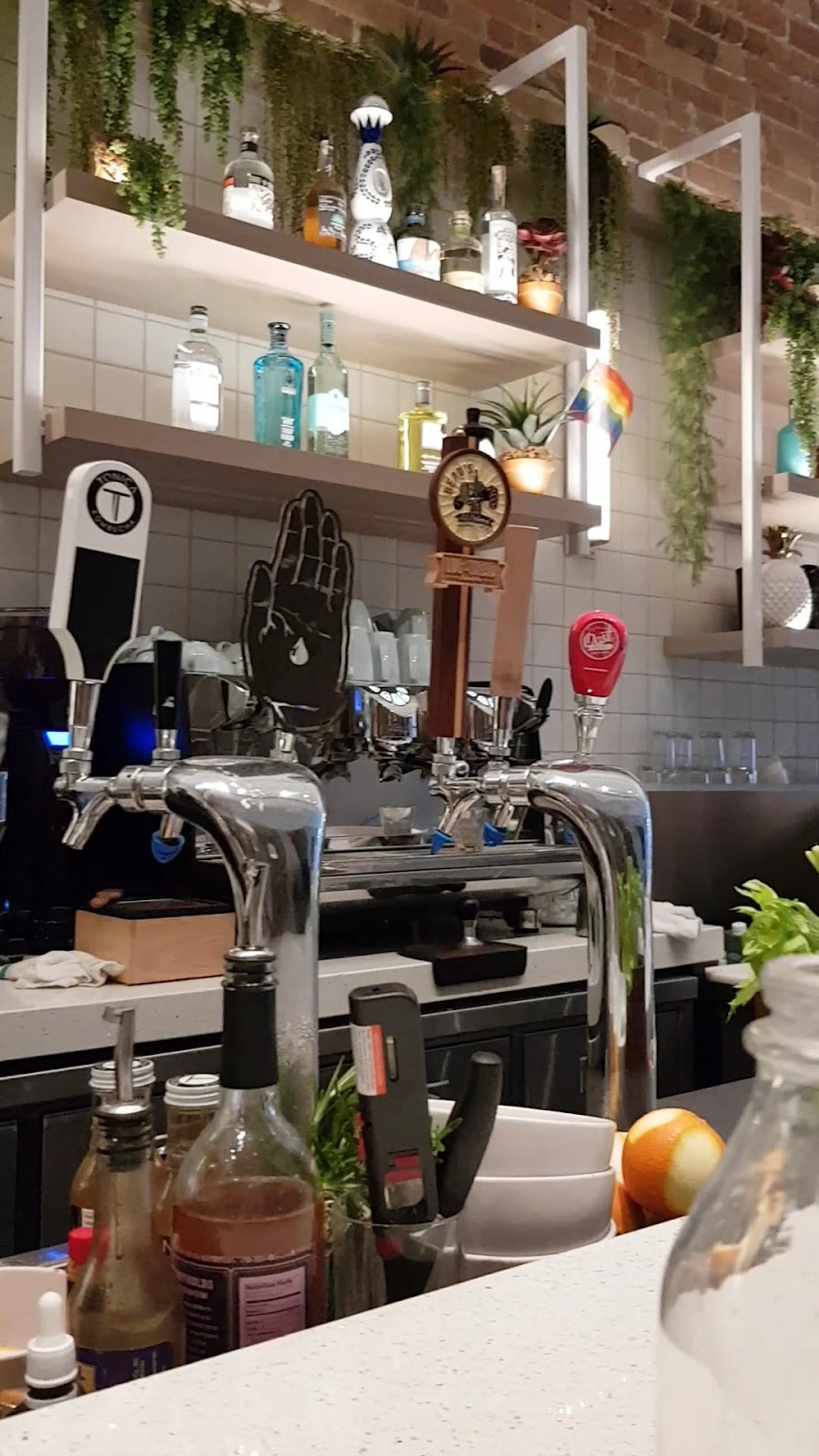 Fresh Kitchen + Juice Bar: the place